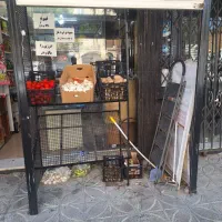 استند