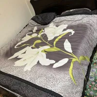 تخت دو نفره با تشک و آینه و کنسول