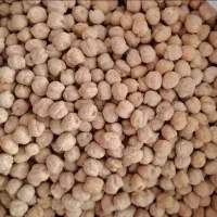 نخود لب لبی