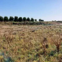 زمین سیامنصور|فروش دفتر صنعتی، کشاورزی، تجاری|دزفول, |دیوار