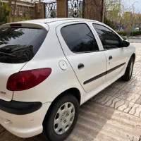 ۲۰۶ تیپ دو استثنایی