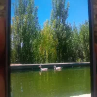 فروش یک قطعه زمین کشاورزی درجاده شهید کلانتری