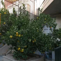 اجاره-خانه-ویلایی-نیم-طبق-3-خواب