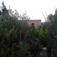 باغچه با زمین مسکونی ورامین روستای هفتجوبه|فروش زمین و ملک کلنگی|جوادآباد, |دیوار