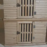 قفس کبوتر|لوازم جانبی حیوانات|تبریز, |دیوار