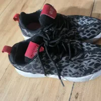 کتانی سایز ۳۳