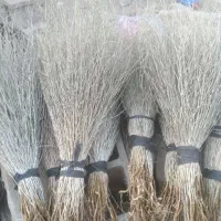 سوپورگ یا جارو