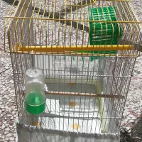 قفس پرنده با همه امکانات داخلی