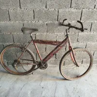 دوچرخه