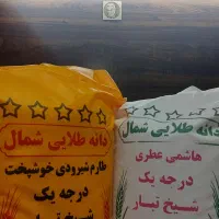 برنج ایرانی طارم هامی معطر