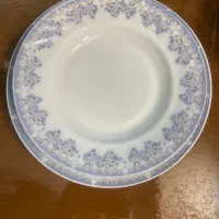 آرکوپال گل آبی
