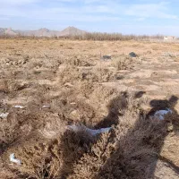 زمین کشاورزی