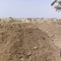 کود حیوانی و گاومیش|خدمات باغبانی و درختکاری|اهواز, زرگان|دیوار