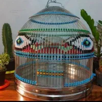 سهره قناری خاکی .ط