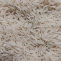 برنج هاشمی کشت دو