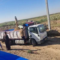 شلتوک|عمدهفروشی|خرمشهر, |دیوار