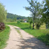 اجاره ویلا جنگلی سنتی در فومن.جاده ماسوله.شولم|اجارهٔ کوتاهمدت ویلا و باغ|فومن, |دیوار