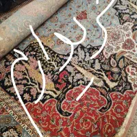 فرس