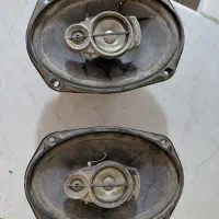 باند پایونیر