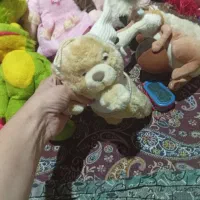 تعدادی عروسک با هم به قیمت 800تومان|اسباببازی بچه|رشت, یخسازی|دیوار