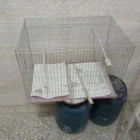 قفس و رگال پرندگان