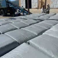 ذرت علوفه بسته بندی مهران