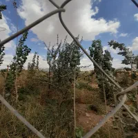 زمین ۱۰۰۰ متر سند دار.