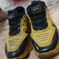 کتونی شیک پارادو