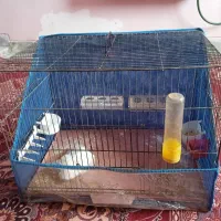 قفس بزرگ تمیز و نو