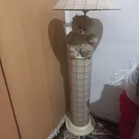شب خواب بچه واسه اتاق خواب بچه