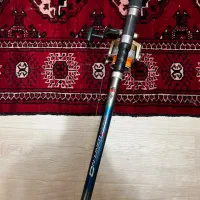 لنسرماهی گیری