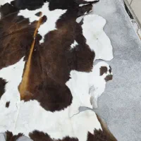 پوستر طبیعی|فرش|اهواز, گلستان|دیوار