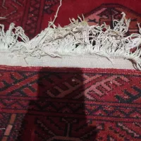 فرش دستبافت ترکمن|فرش|رشت, حمیدیان|دیوار