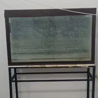 اکواریوم بزرگ همراه وسایل