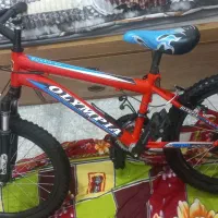 دوچرخه حرفه ای نو