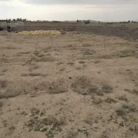 زمین|فروش زمین و ملک کلنگی|خوسف, |دیوار