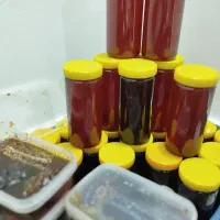 عسل وحشی گون