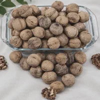 گردو اعلا امسالی