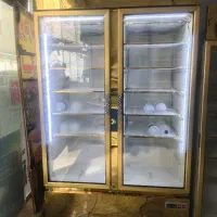 فریزر دوقلو استیل طلایی دو موتوره