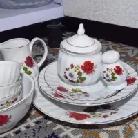 ظروف شکستنی نو نو
