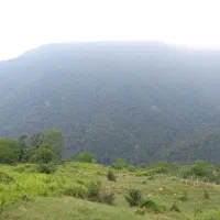 فروش-فوری215مترزمین-ویلایی-دررستای-زیبای-پاقلعه