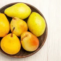 فروش نهال گلابی کنکورد