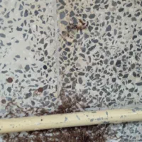 سم پاشی موریانه زدایی آریاگستر،(حسنوند) تضمینی|خدمات نظافت|خرمآباد, |دیوار