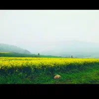 سوییت ویلایی مستقل درب ورودی جدا