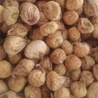 انجیر گوشتی