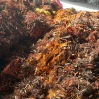 فروش وخریدتخصصی انواع فلزات رنگی  مس،برنج و