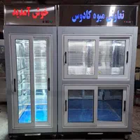 ویترین منجمد و  ناگت|فروشگاه و مغازه|تهران, خاوران|دیوار