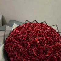 گل روبانی و پولی