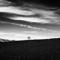 راهنمایی نمایید