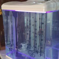 آکواریوم ماهیران|ماهی|اصفهان, رهنان|دیوار